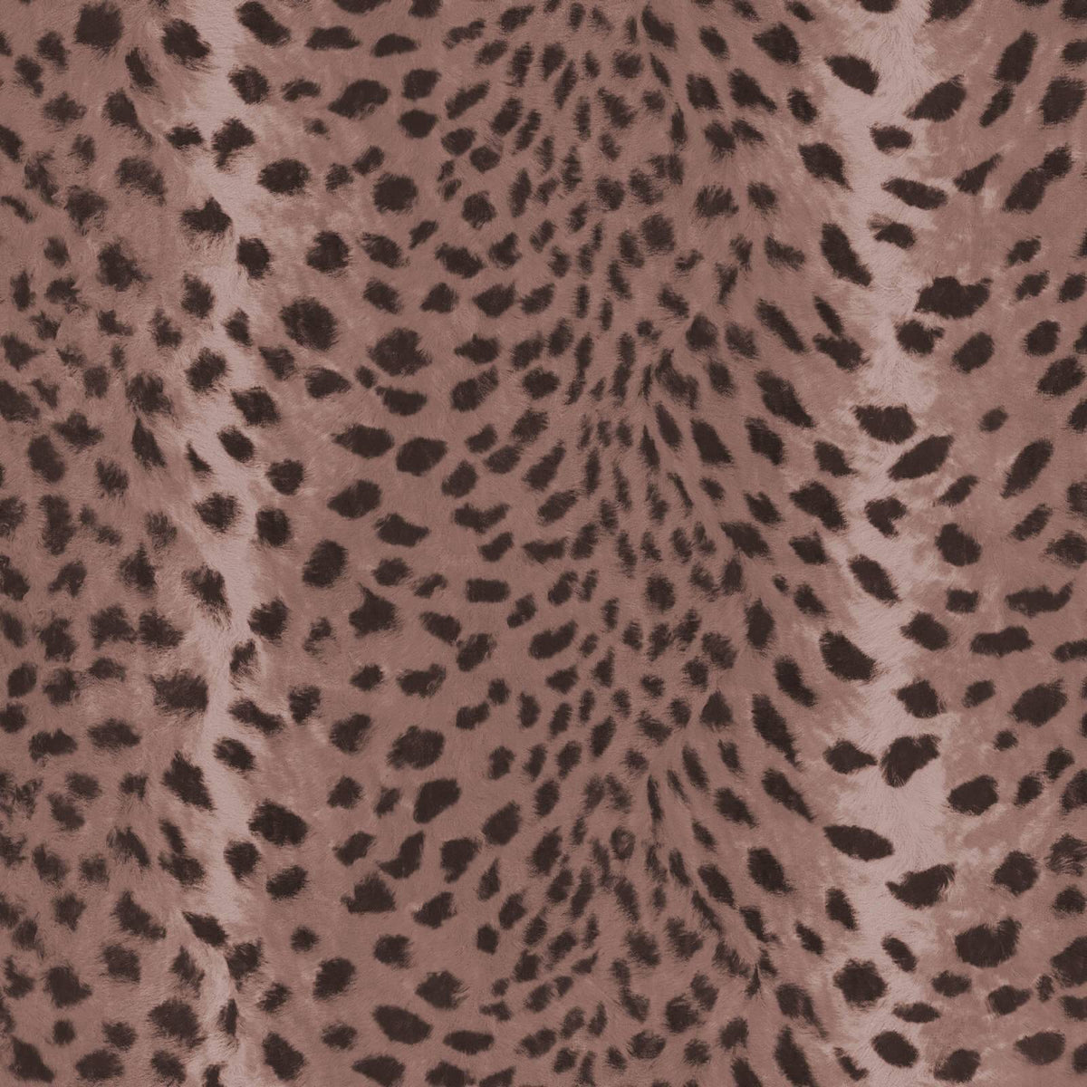 SAVANNA Wallpaper - Cosmos
