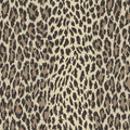 WILD CARD Wallpaper - Butterscotch