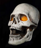 Super Skull view 3