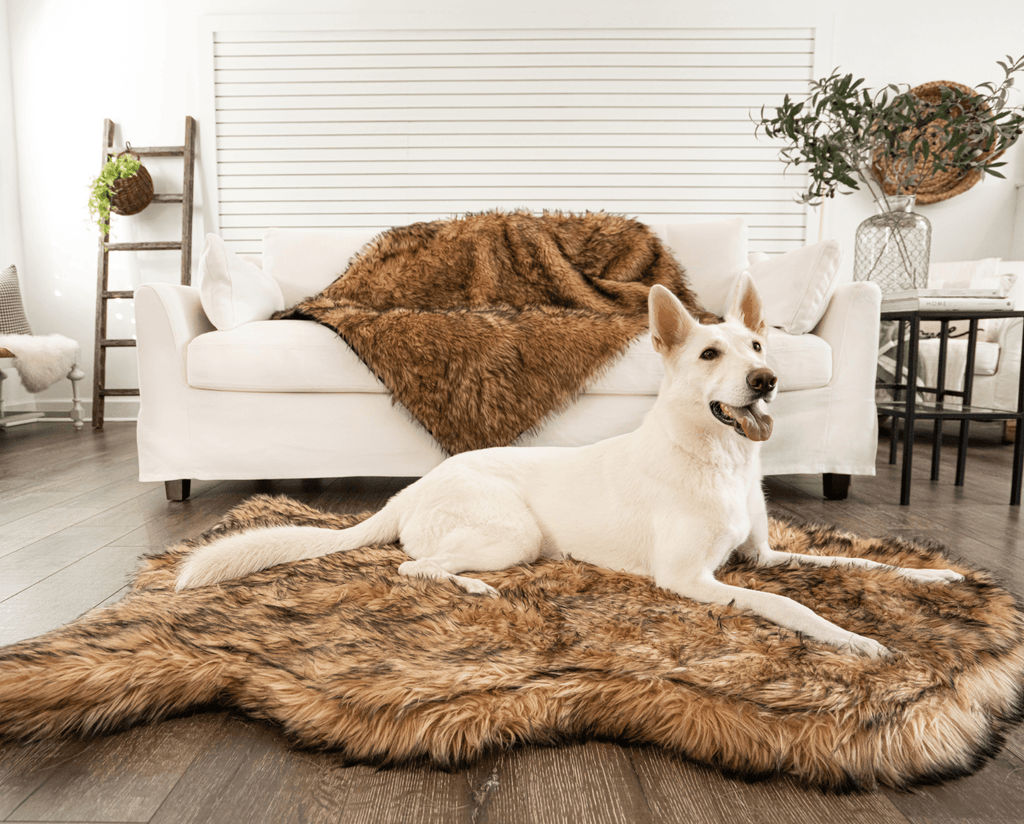 PupRug® Orthopedic Bed + Matching Waterproof Blanket Bundle- Sable Tan