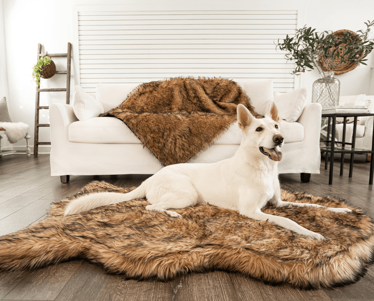 PupRug® Orthopedic Bed + Matching Waterproof Blanket Bundle- Sable Tan
