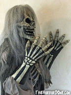 Skeletal Remains HD Studios Pro Halloween Costume view 7