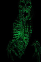 “Ultimate Spectre" GLOW IN THE DARK GHOST HD Studios Pro Halloween Costume view 8