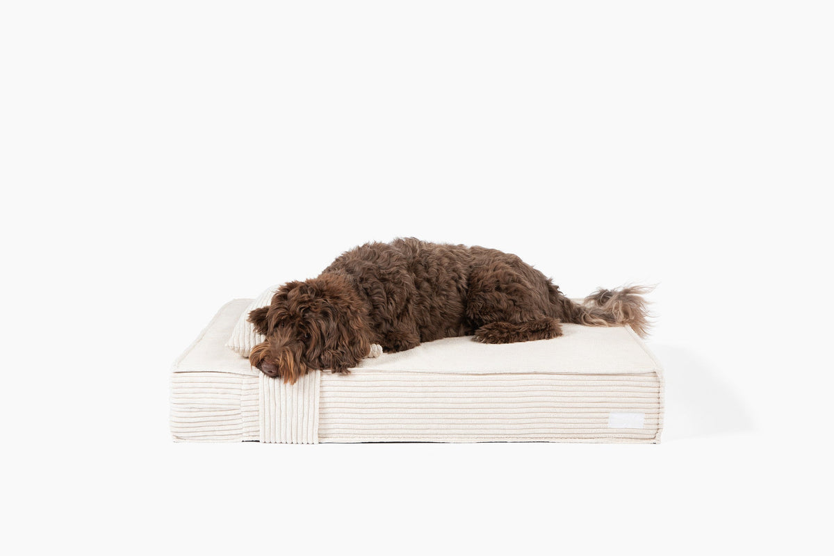 Orthopedic Pet Bed