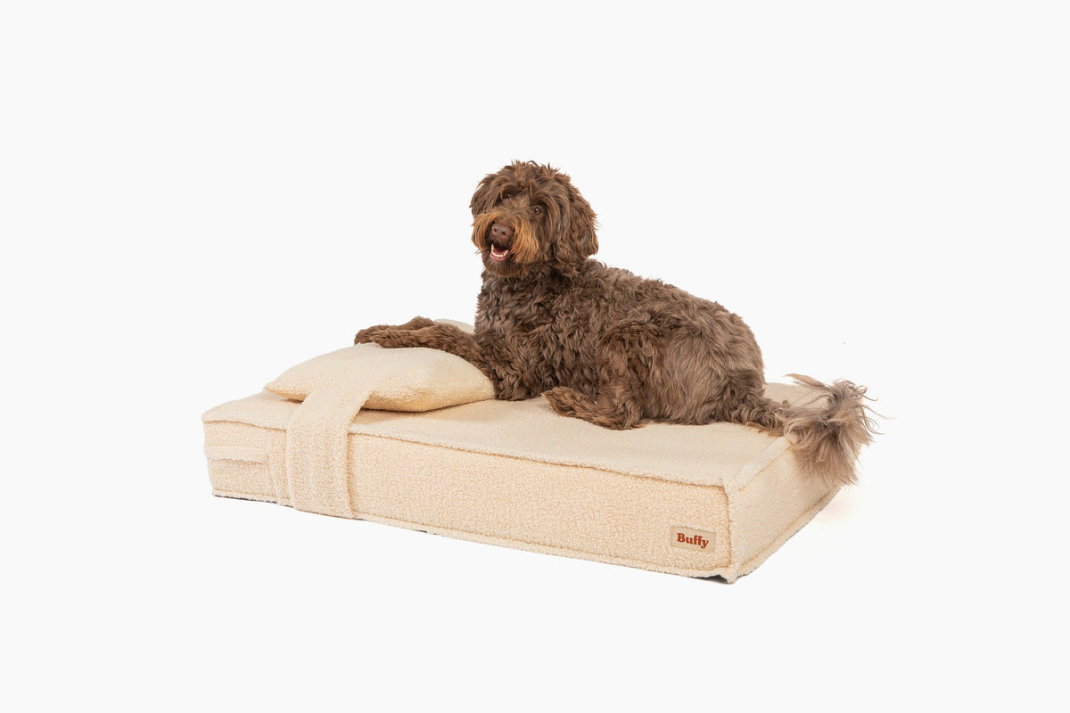 Orthopedic Pet Bed