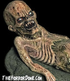 "Zombie Baby" HD Studios Halloween Puppet Prop view 5