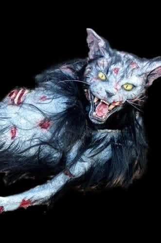 "Zombie Cat" HD Studios Halloween Puppet Prop Halloween decoration