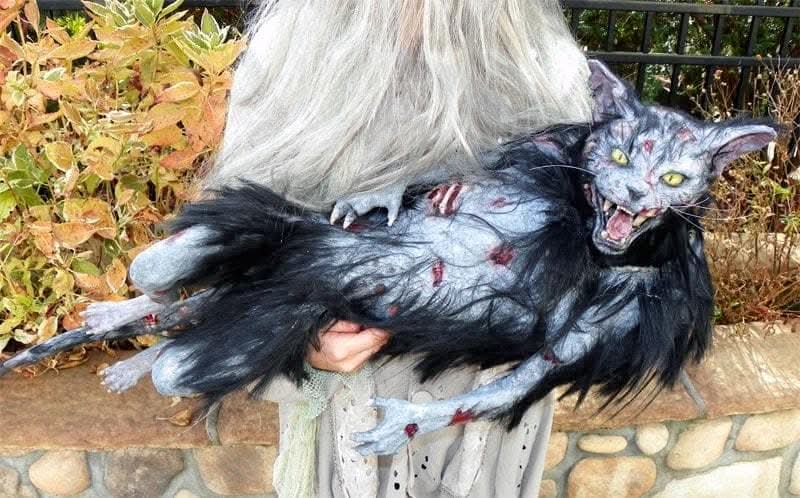 "Zombie Cat" HD Studios Halloween Puppet Prop view 2