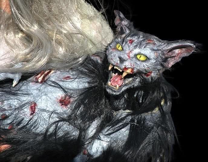 "Zombie Cat" HD Studios Halloween Puppet Prop view 3