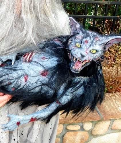 "Zombie Cat" HD Studios Halloween Puppet Prop view 4