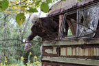 "Zombie Walker" HD Studios Pro Halloween Costume view 6