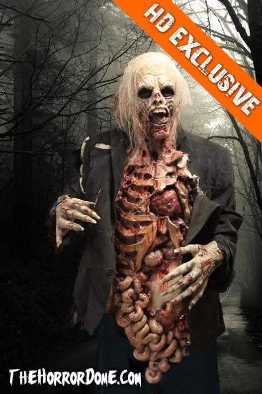 "Zombie Walker" HD Studios Pro Halloween Costume view 5