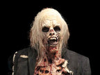 "Zombie Walker" HD Studios Pro Halloween Costume view 2