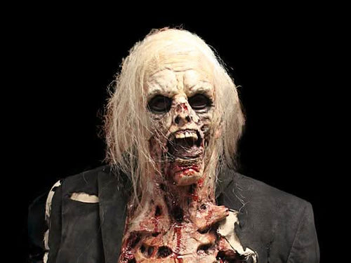 "Zombie Walker" HD Studios Pro Halloween Costume view 2