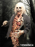 "Zombie Walker" HD Studios Pro Halloween Costume view 3